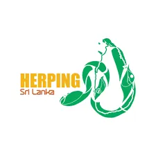 Herping Sri Lanka